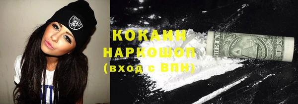 твердый Лагань