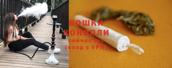 твердый Лагань