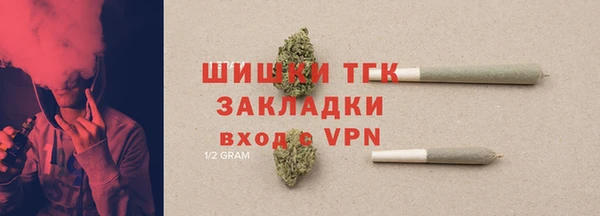 твердый Лагань