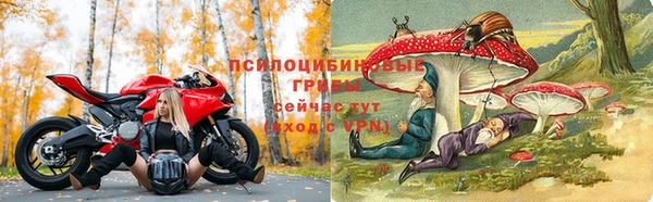 твердый Лагань