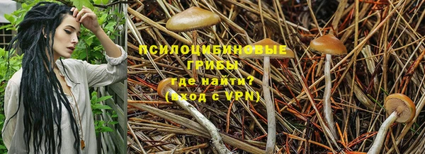 твердый Лагань