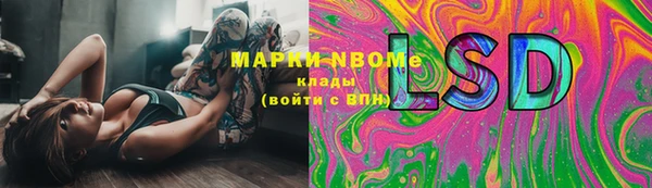 твердый Лагань