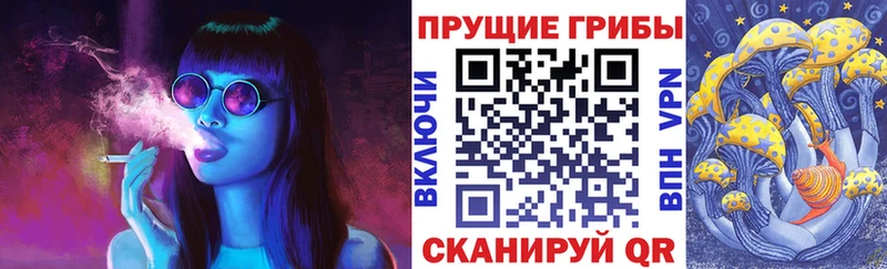 Псилоцибиновые грибы GOLDEN TEACHER  Заозёрск 